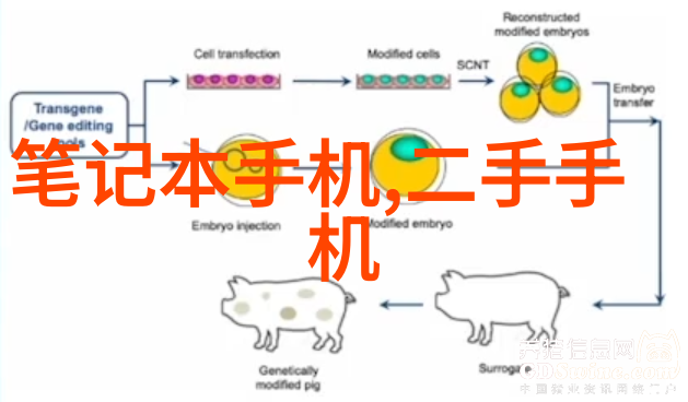 EDI超纯水系统高效脱盐技术的精髓与应用概述