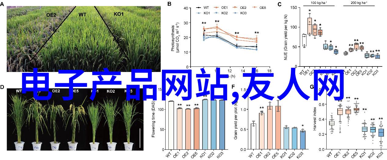 智能医疗系统是否能够适应复杂的人体生理学特点