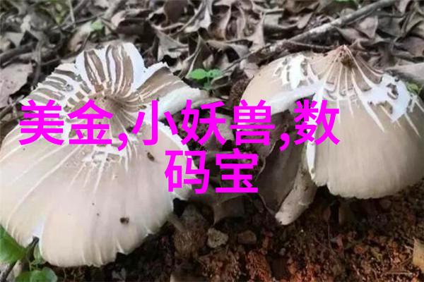 不锈钢水箱厂家-精密制造持久耐用不锈钢水箱厂家的技术与创新