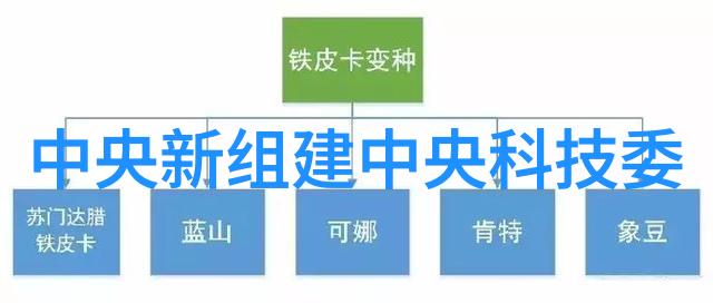 数字媒体技术创意无限的编程世界