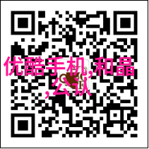 在全球范围内有没有类似于四川省软件测试与评价机构的地方它们之间有怎样的合作关系或交流模式