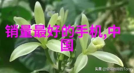 构建智慧交通网络智能化革命化的未来出行系统