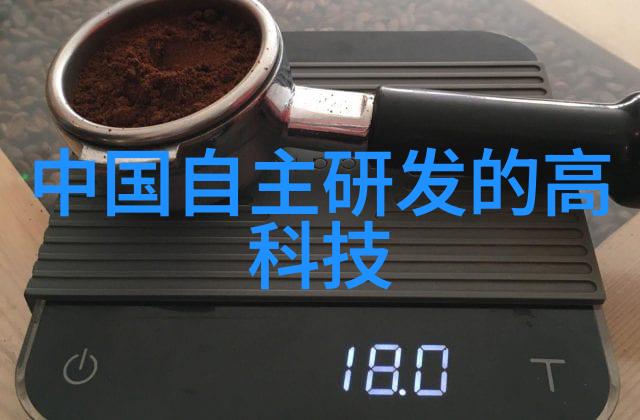 我的机器人女友爱情与科技的交织