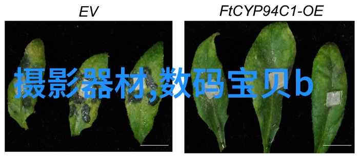 基于数据的CH系列槽型混合机专为褐煤干燥系统设计