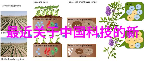 大理石的魅力与应用