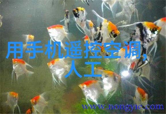 人才素养测评-全面提升如何通过人才素养测评增强职场竞争力