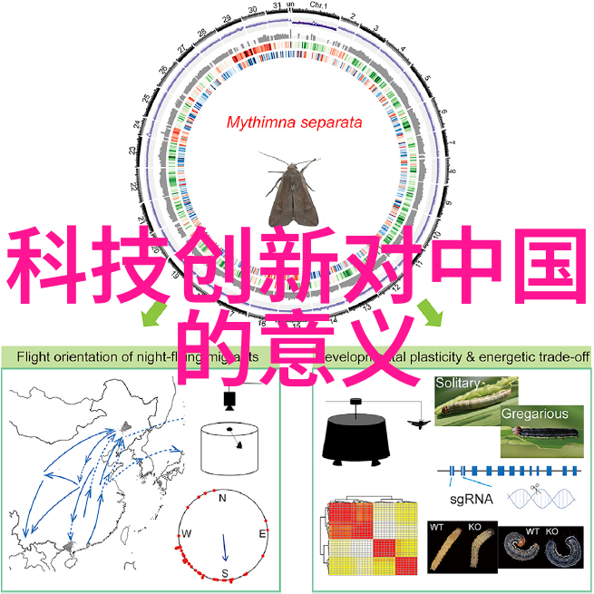 C的温柔探索舒适与情感