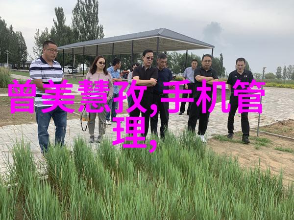 空调运作原理与用户体验优化探究不同模式下最适宜的工作状态以实现最大冷却效果