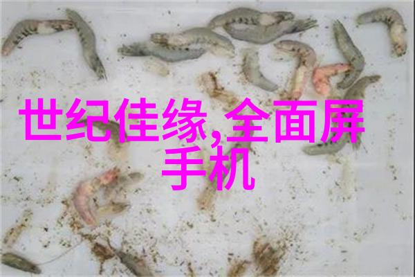 宁波财经学院提供的专业课程有哪些特色