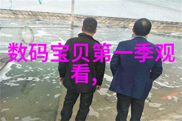 通过技术手段可以将任何照片转变为艺术吗或需天赋和经验支持