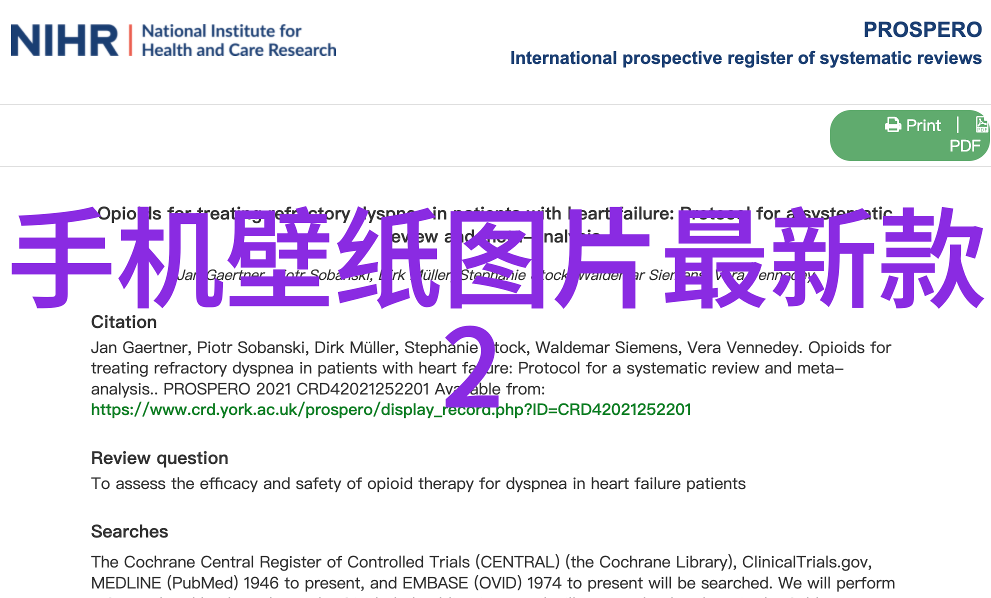 居家美学温馨时尚的现代风格装修案例