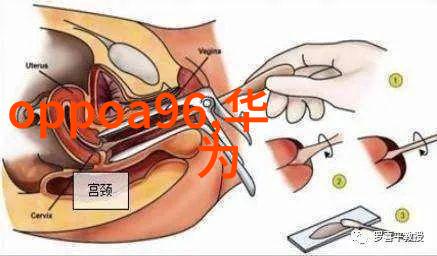 小户型也能大气福州紧凑空间装修技巧