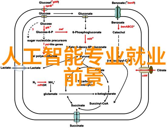 揭秘案由背后的迷雾追踪事件起因与深层影响