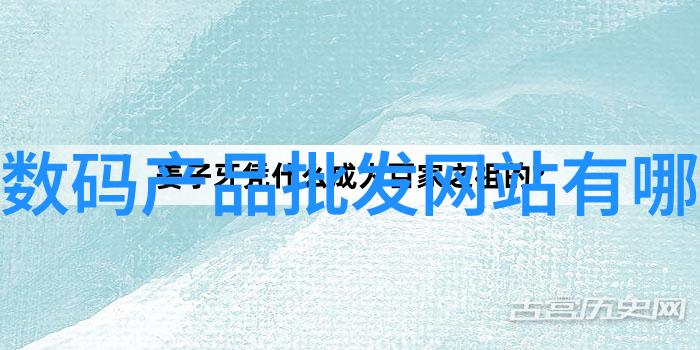 微波炉美食厨房的神器它不仅能蒸烤还能做一切