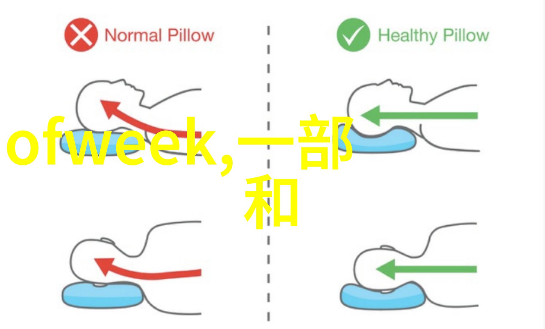 仪器分类学系统探究与应用