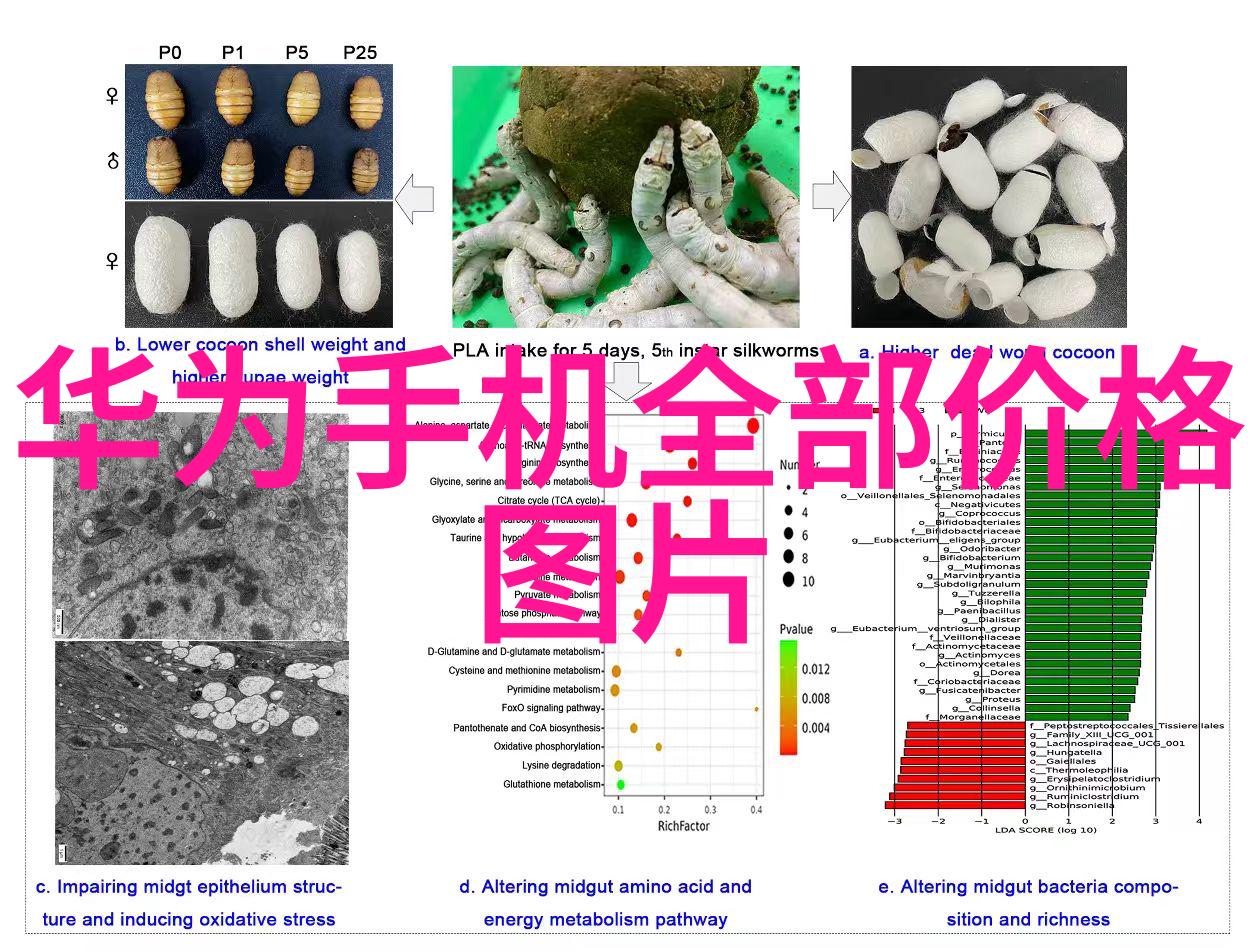 不朽之笔长远来看是否存在将传统技法结合于AI绘画软件的可能