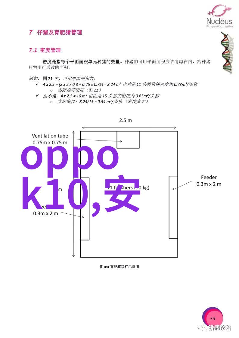 东莞小家电生产厂家从夜以继日到星光闪耀的奇迹