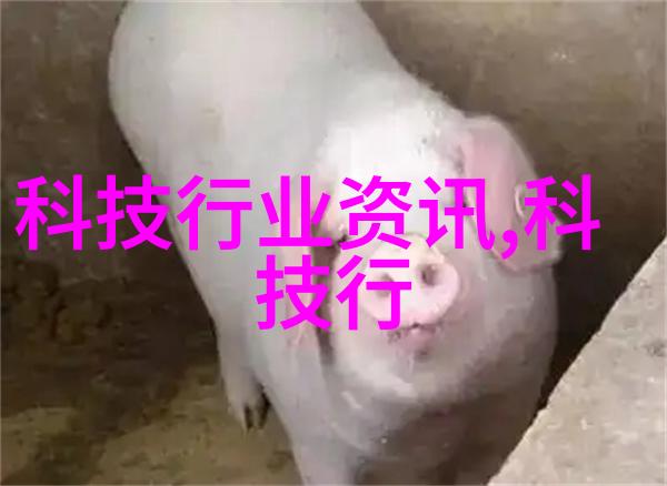 数码之家 - 无线监控我家的安全大师如何轻松掌控每一角落