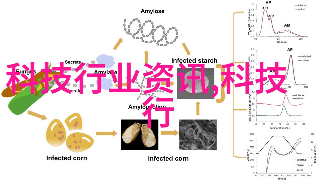 触控双雄探索双屏手机的未来趋势与应用潜力