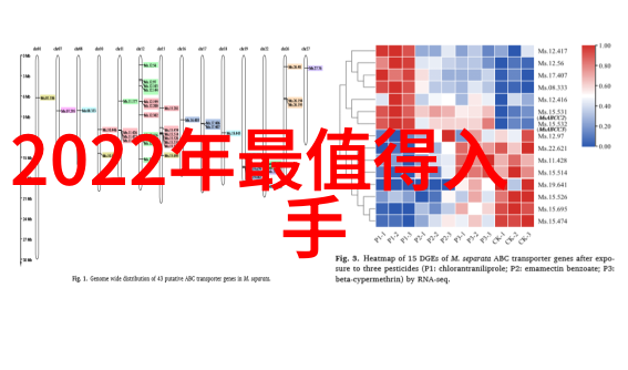 安卓市场app下载官网安全保障与便捷体验的双重奏鸣