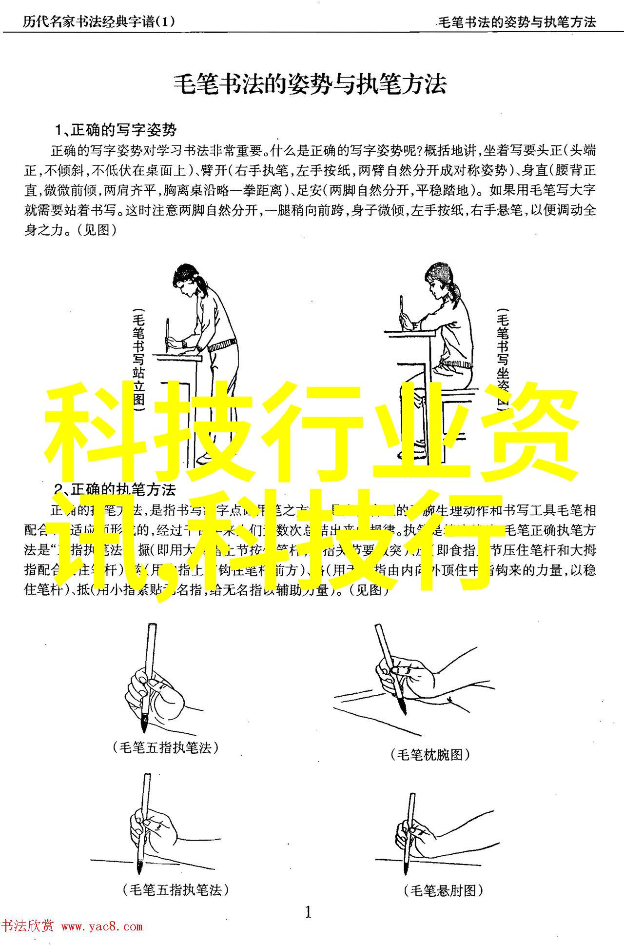 数码宝贝3国语版免费观看第49集探秘数字世界的未知领域