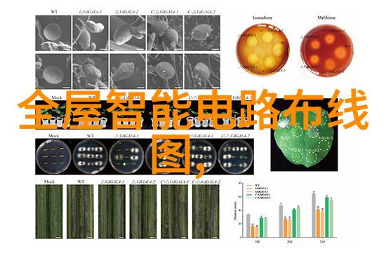 冷藏室结冰原因探究家庭用电器维护与故障诊断