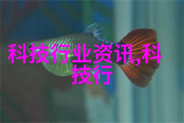 苹果新品发布会2016激动人心的创新之夜