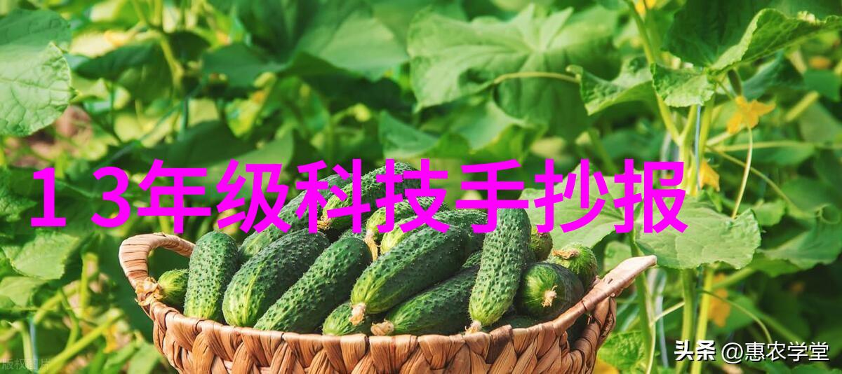 紫外杀菌新宠水处理紫外线设备让熟食安全有保障