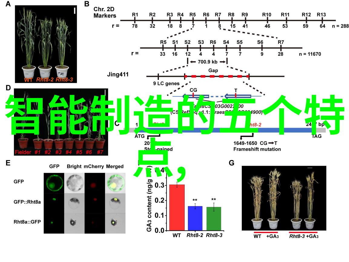 水利工程与现代科技的结合又如何