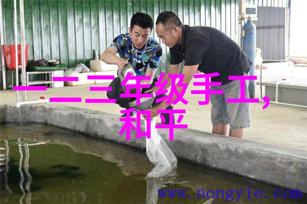 佳倍热爱无惧挑战EOS青年影像学院上海站开讲数码产品照片绘制未来创意不限拍照不止