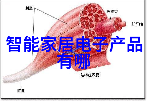 未来机遇智能化科技的无限可能