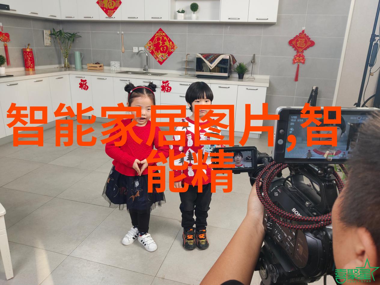 TDS计数器应用与维护建议让你的生活更清洁健康