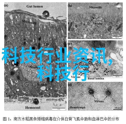 汽车配件-刹车分泵的重要性与维护方法