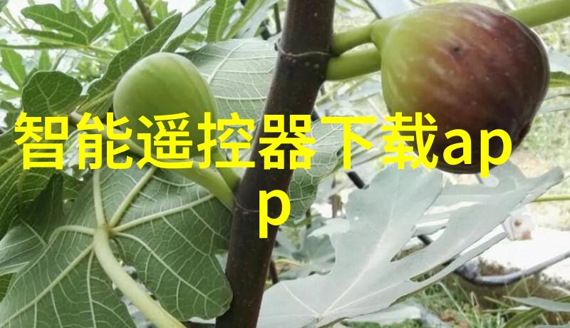 水利工程考研揭秘前沿学府之巅