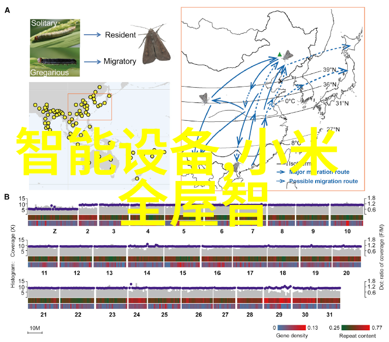 逆袭居所从简陋到奢华的装修奇迹