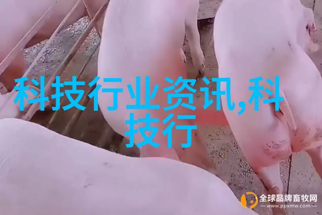 金融智慧的传承与创新文华财经的发展历程