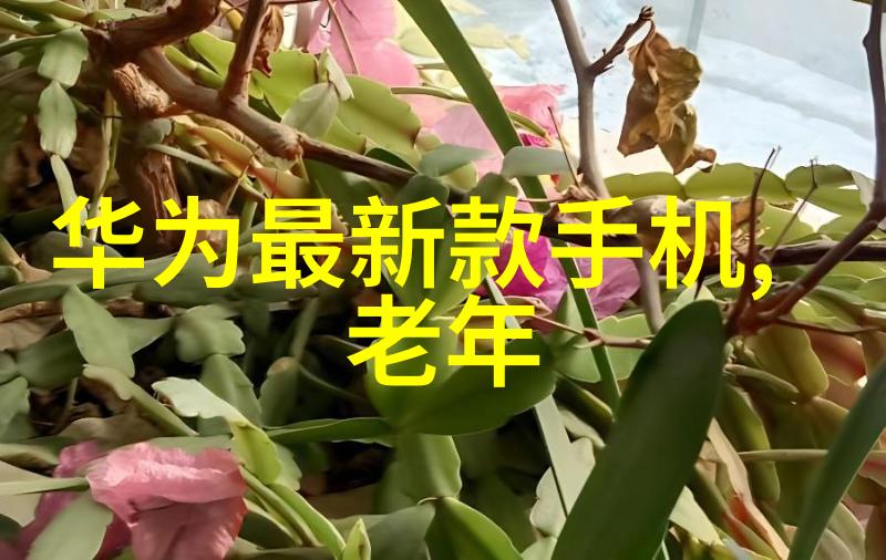 军事-辽宁舰首次远海训练