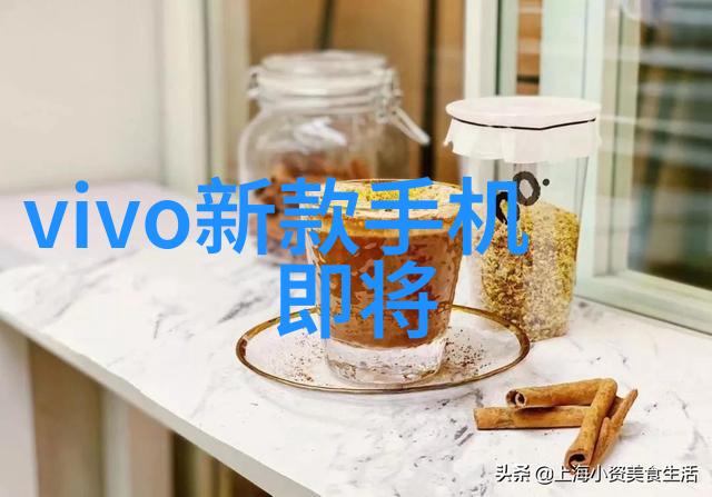 小天鹅与人类的互动共享厨卫空间的温馨瞬间