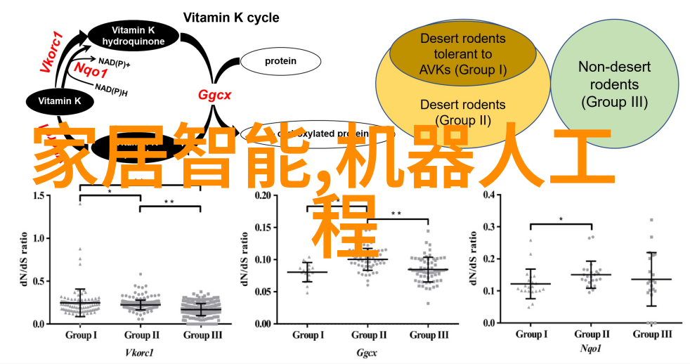 锦鲤背后的技术电视剧揭秘真相