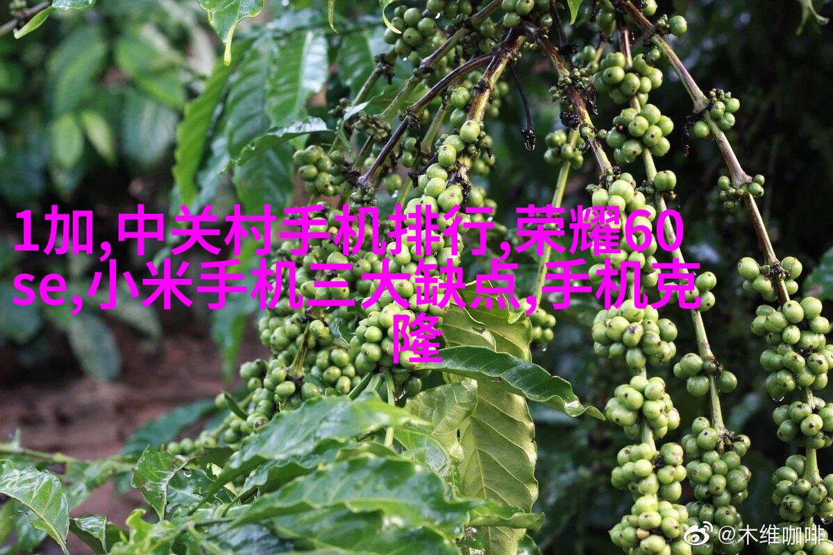 自我养护植物墙