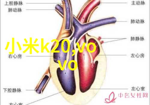 科技与创新融合发展西南财经大学天府学院如何响应国家战略需求