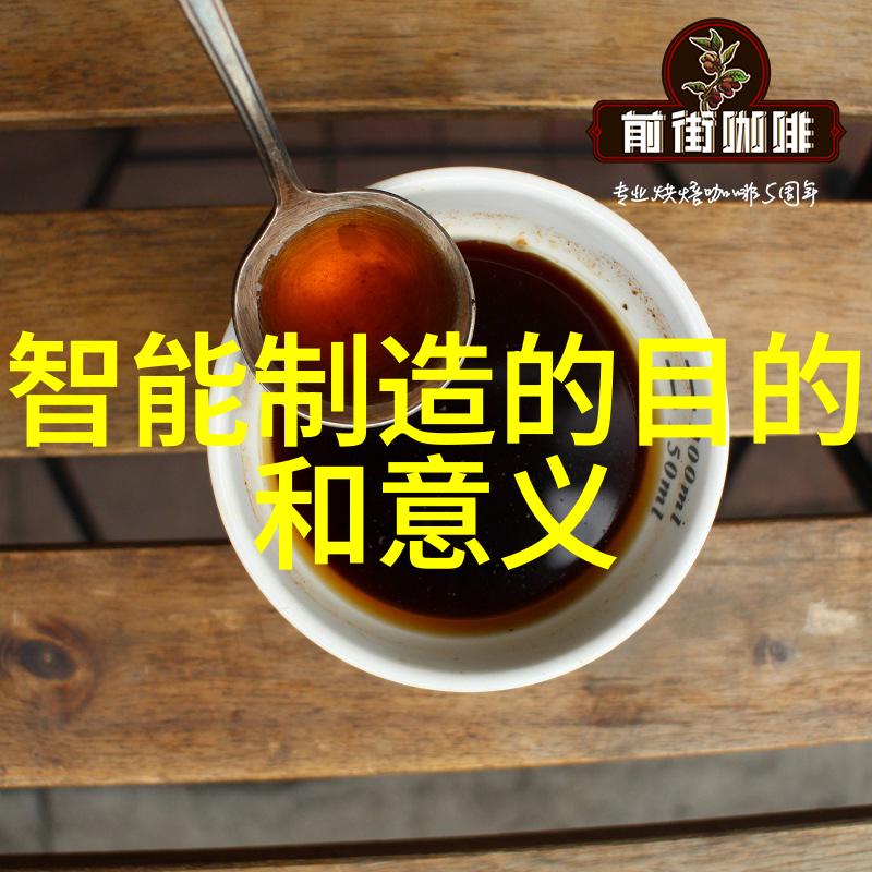 工业自动化中的关键设备高效的输送机系统