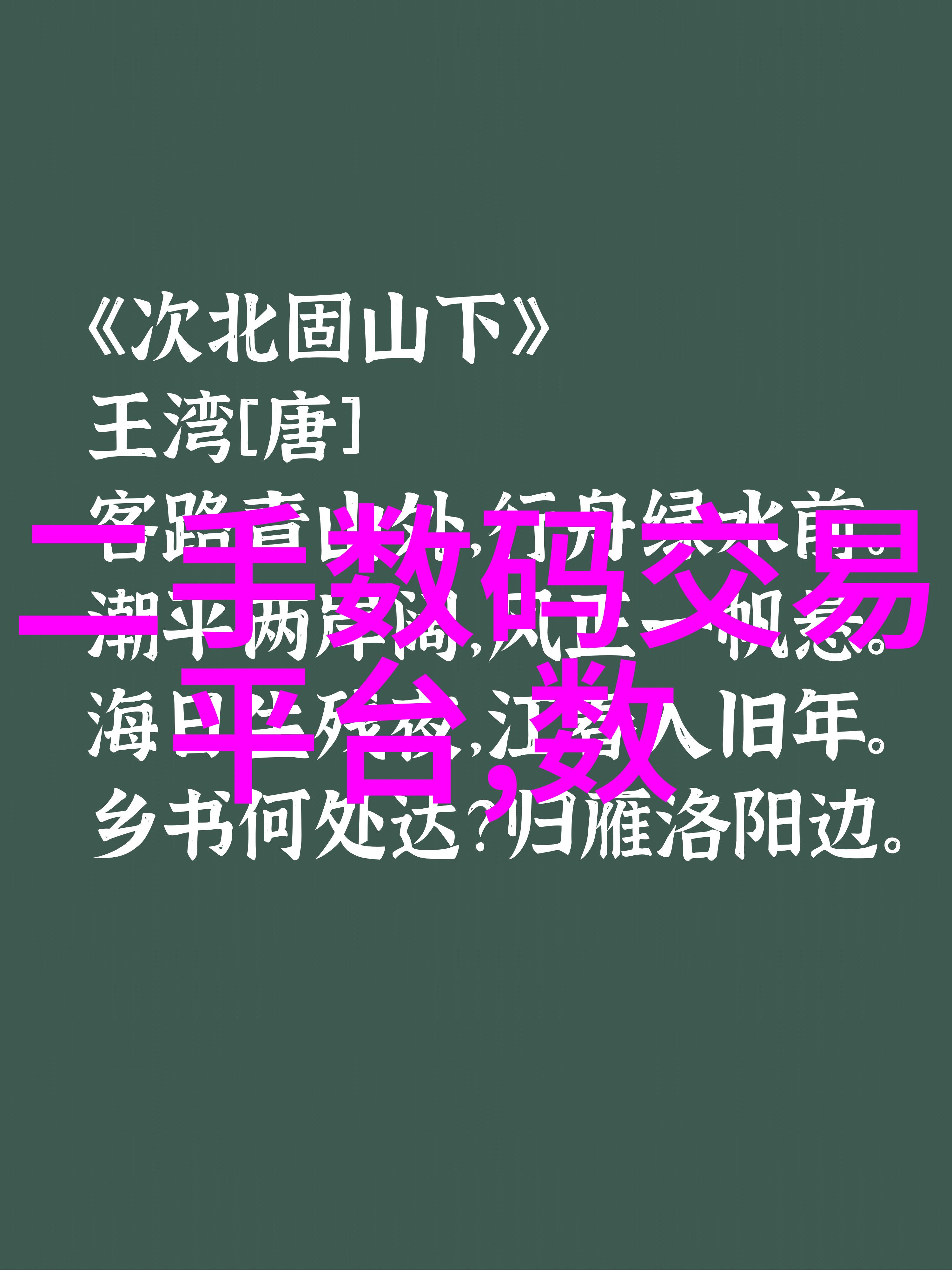 客厅隔断设计中的空间利用策略与视觉效果分析基于进门视角的案例研究