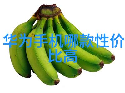 高压蒸汽灭菌锅操作指南牙科医疗器械的无菌之道