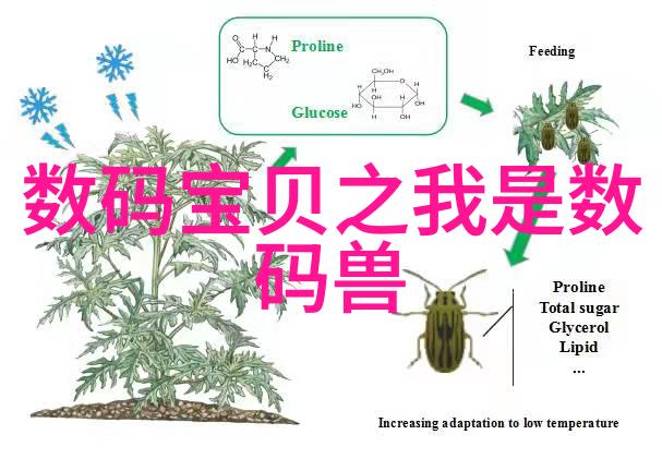 鸟类摄影爱好者的天堂拍鸟人网站探索