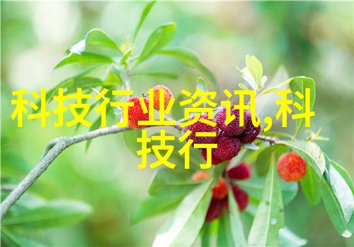 风信子花语夏日绽放的微风之恋