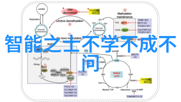 高效抗倍特板技术革新提升汽车涡轮增压器性能与可靠性