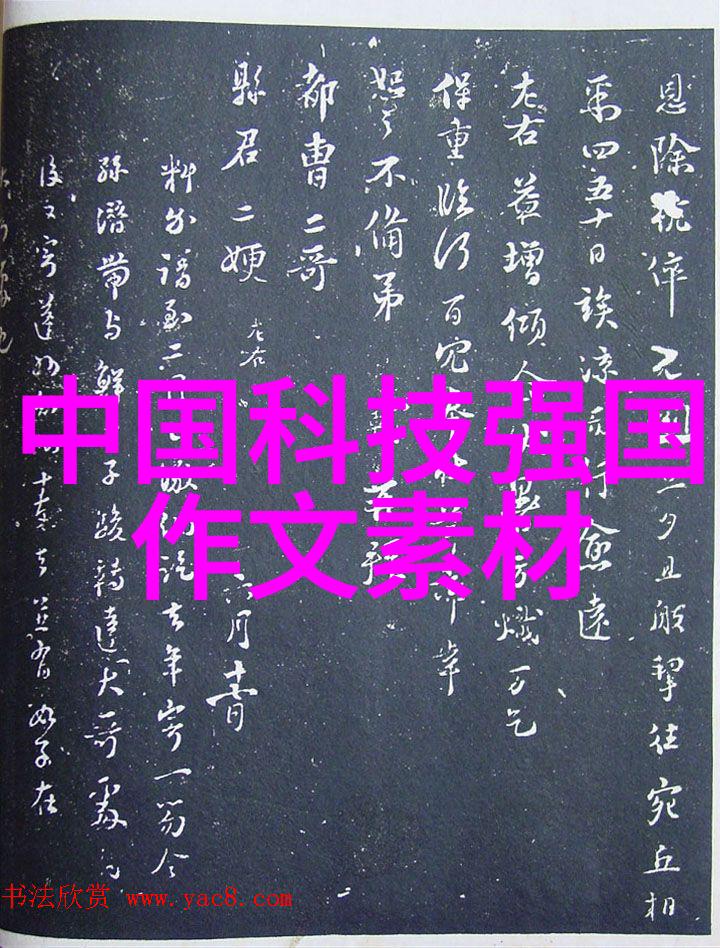 家庭生活空间的完美融合6米长客厅装修大师之作