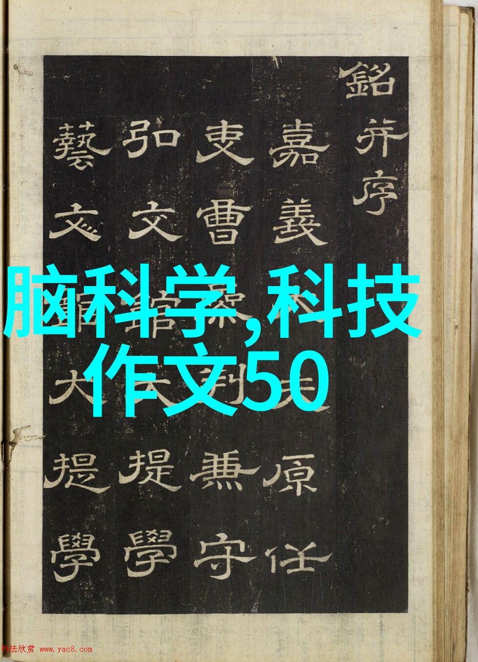 怎样将不同材质和造型的家具与壁纸相结合以创造一个完美的视觉效果