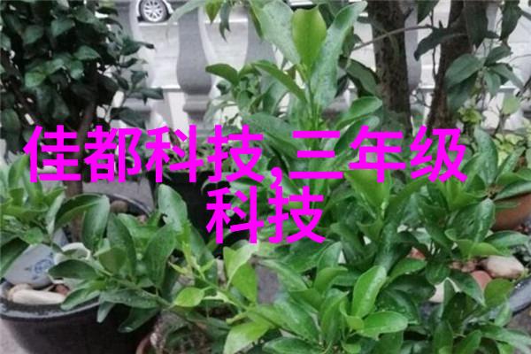 塑料排水板我的小伙伴在厨房里的秘密英雄